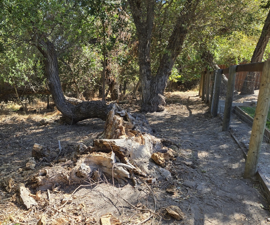The other area after clean up